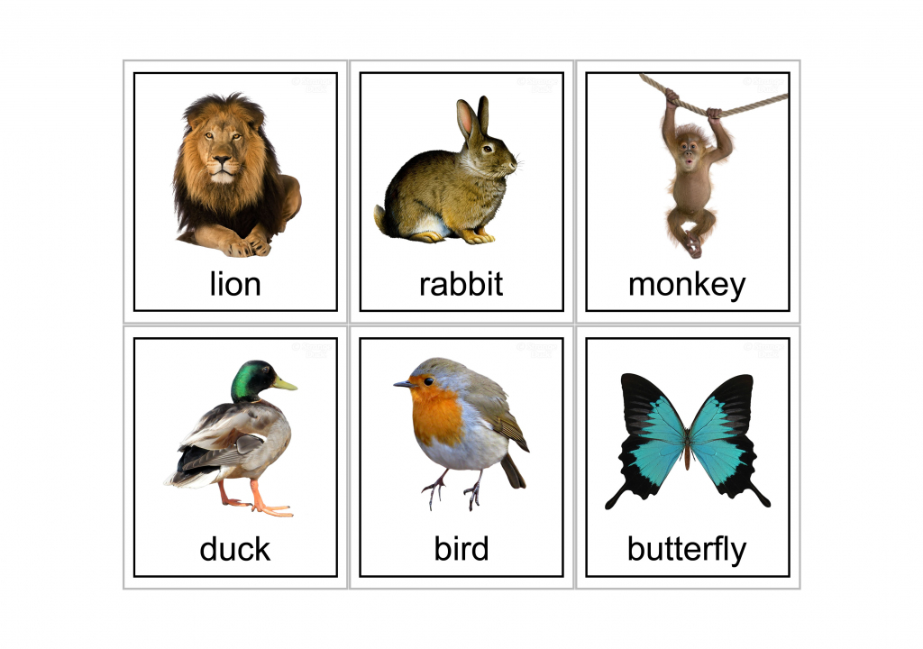 15 Animal Flash Cards | Kittybabylove | Animal Snap Cards Printable