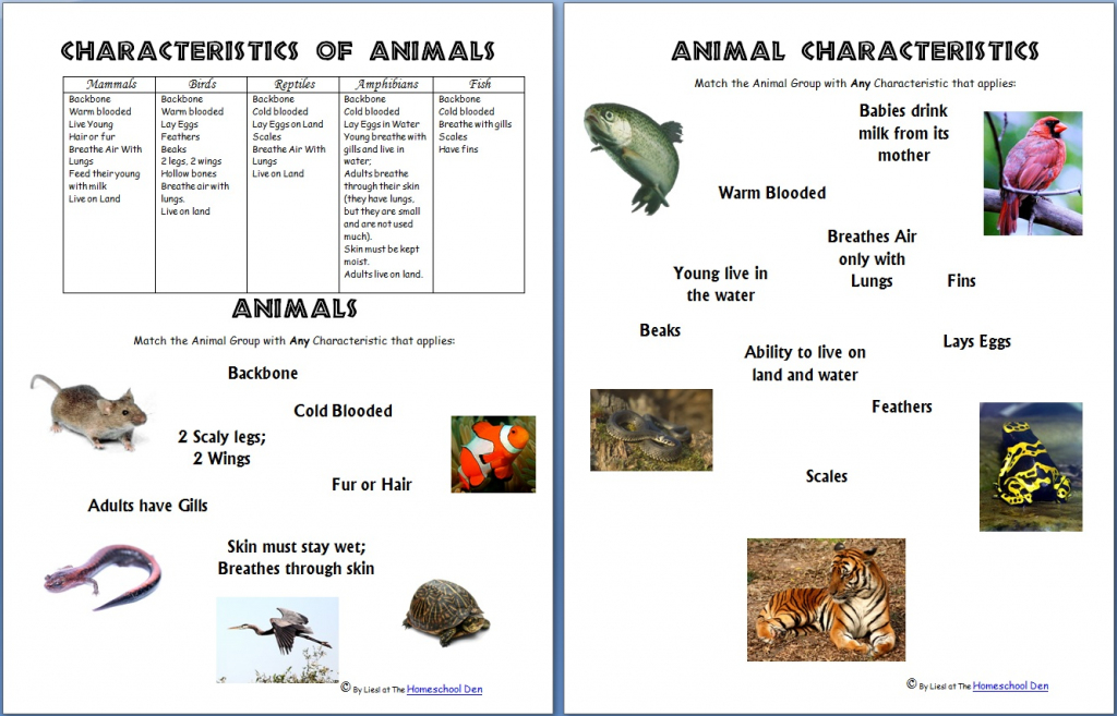 Animals And Their Characteristics (Free Worksheet) - Homeschool Den | Free Printable Animal Classification Cards