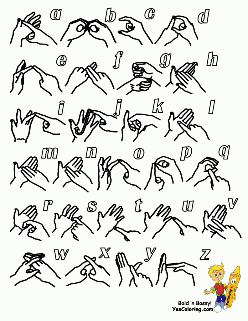 Big Boss British Sign Language | Bsl | Free Sign Language | Alphabets | British Sign Language Flash Cards Free Printables
