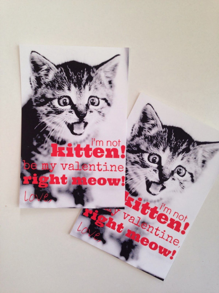 Crazy Cat Valentines {Easy Preschool Valentines With A Free Printable!} | Free Printable Cat Valentine Cards