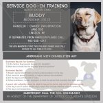 Discover More About Command For Dog Training. Daily Brushing Your | Printable Ada Service Dog Card