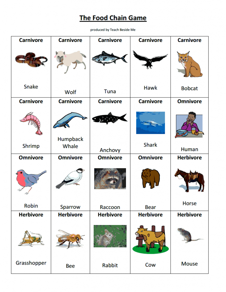 Food Chain Game.pdf | Science-Ecosystems | Food Chain Game, Science | Printable Food Web Cards
