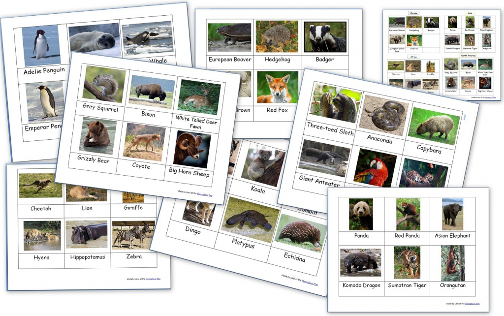 Free Montessori 3-Part Cards Archives - Homeschool Den | Free Printable Animal Classification Cards