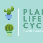 Free Online Flashcard Maker: Design Custom Flashcards   Canva | Custom Flash Cards Printable