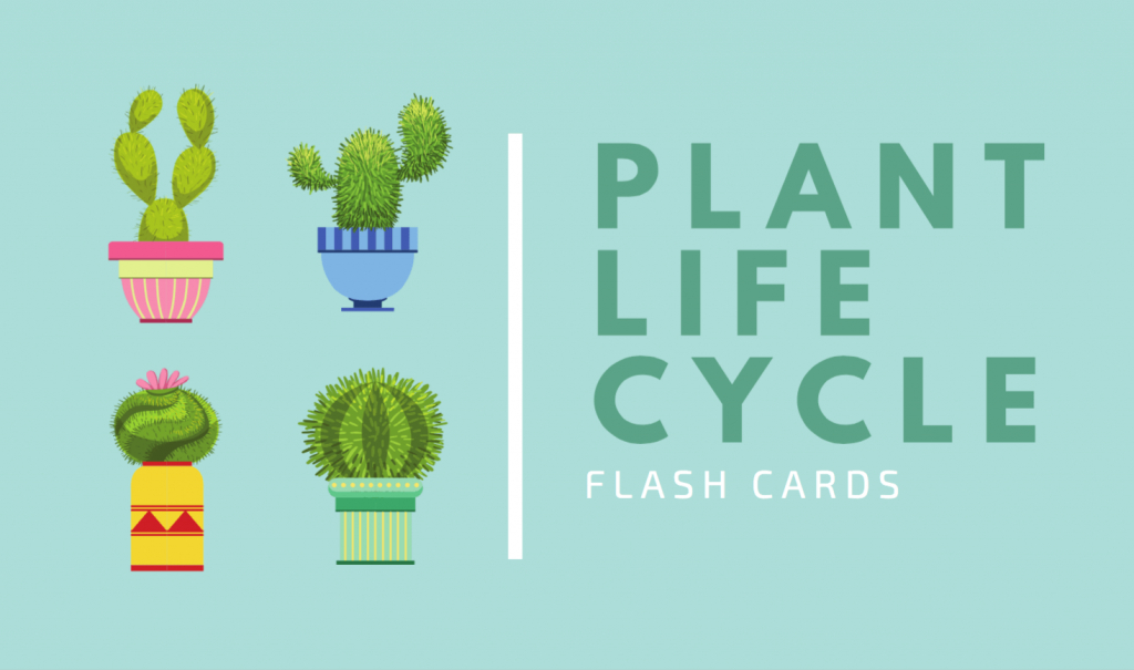 Free Online Flashcard Maker: Design Custom Flashcards - Canva | Free Printable Flash Card Maker Online