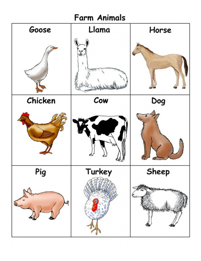 Free Printable Farm Animal Flash Cards - Printable Card Free