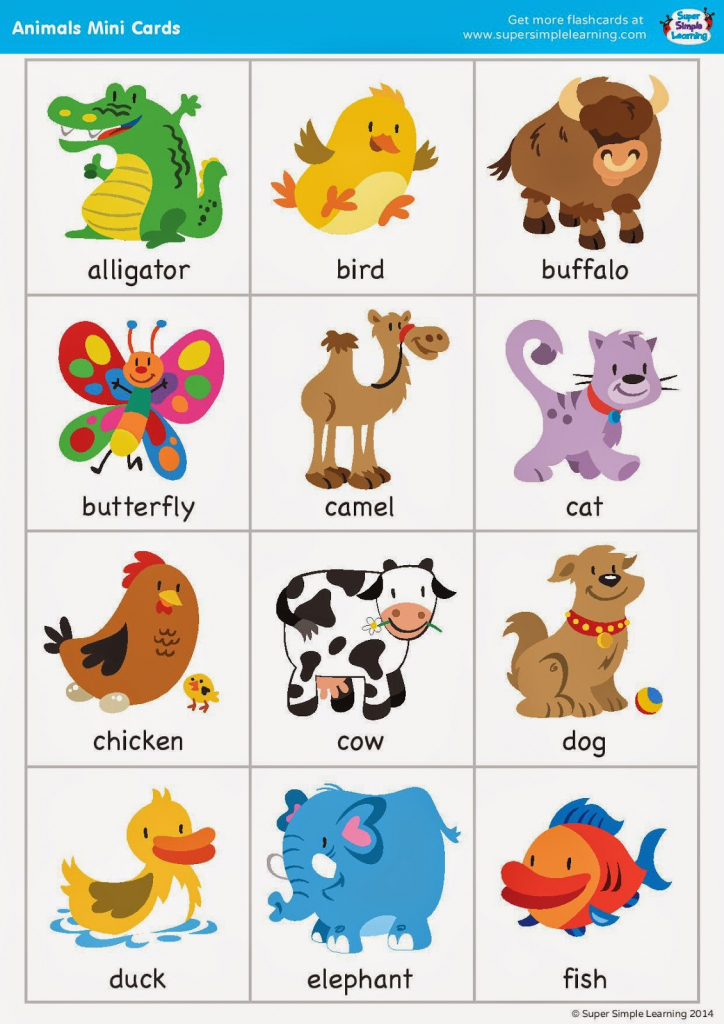 Animal Flash Cards Printable Printable World Holiday