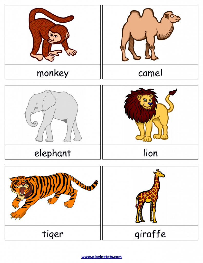 Free Printable Animals Flash Cards | Free Printable For Learning | Free Printable Animal Cards