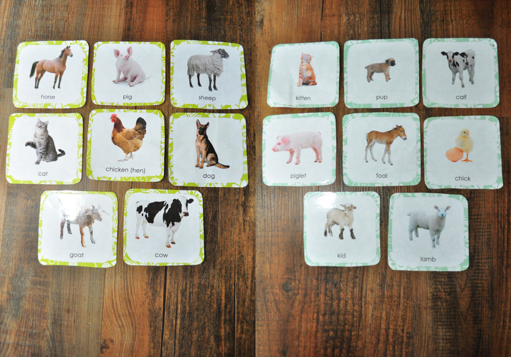 Montessori Inspired Farm Animal Cards | This Girl&amp;#039;s Canon | Farm Animal Cards Printable