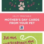 Mother's Day | Things We Love | Dog Mothers Day, Mothers Day Cards | Free Printable Mothers Day Cards From The Dog
