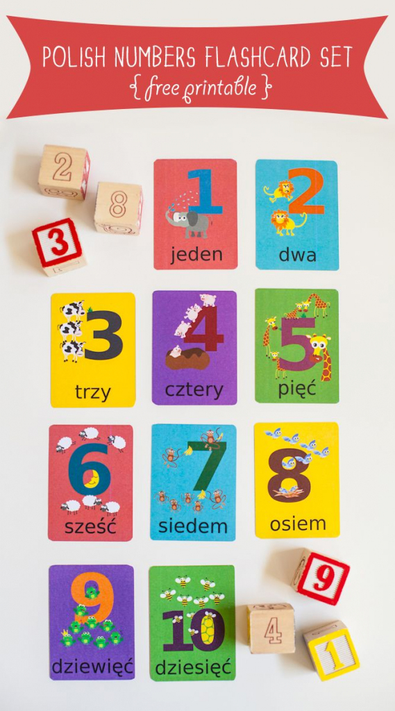Polish Numbers Flashcard Printable | Cute Printables | Polish | Us Citizenship Flash Cards Printable
