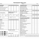 Preschool Progress Report Template | Childcare | Kindergarten Report | Free Printable Preschool Report Cards