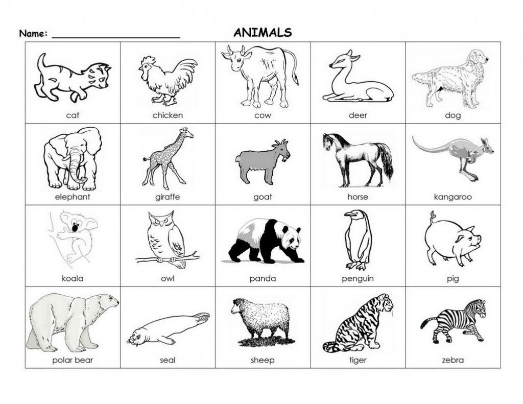 Printable Animal Flash Cards (87+ Images In Collection) Page 1 | Animal Snap Cards Printable