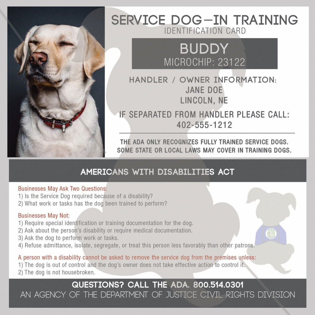 Service Dog Cards Printable