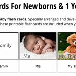 The Best Flashcards For 0, 1, 2 And 3 Year Olds | Shichida | Glenn Doman Flash Cards Printable