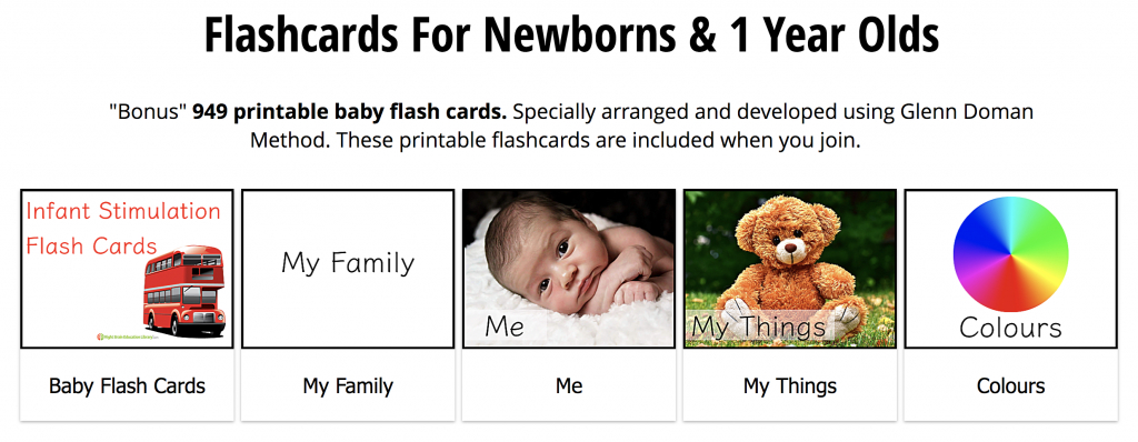 The Best Flashcards For 0, 1, 2 And 3 Year Olds | Shichida | Glenn Doman Flash Cards Printable