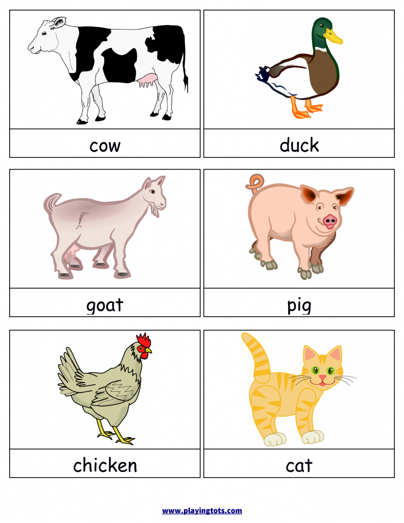 Variety Of Animal Flashcards | Theme~Zoo | Flashcards For Kids | Free Printable Farm Animal Flash Cards